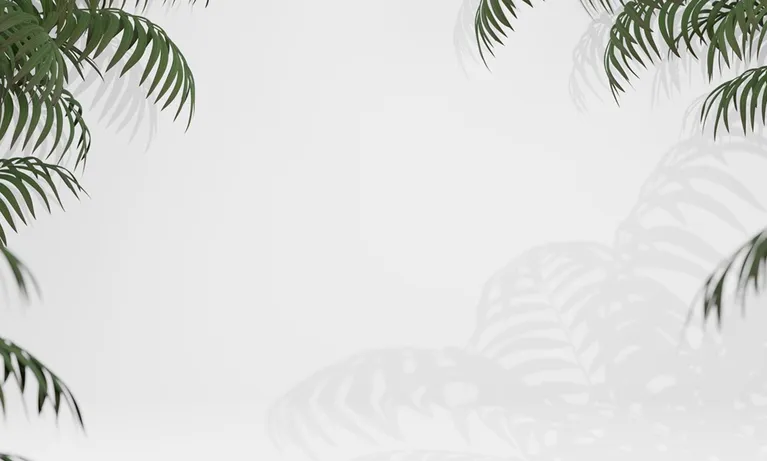 Green palm leaves framing the corners with soft shadows on a light gray background.